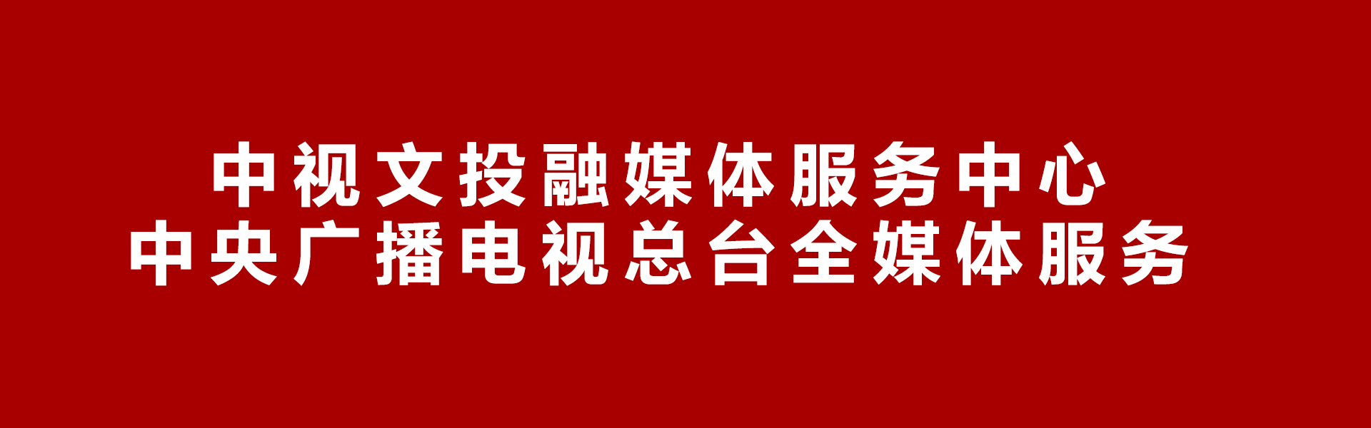 中视文投融媒体中心(央视服务）.jpg